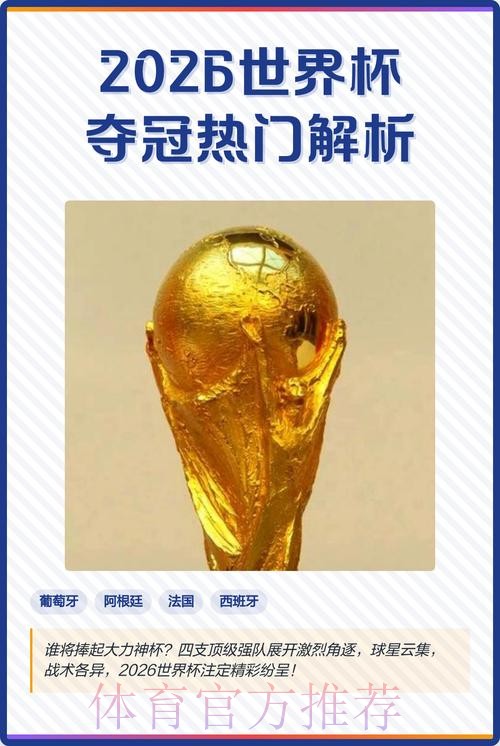 2026世界杯外围分析热门